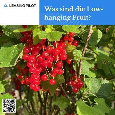 #Value Creation: Was sind die Low Hanging Fruit 