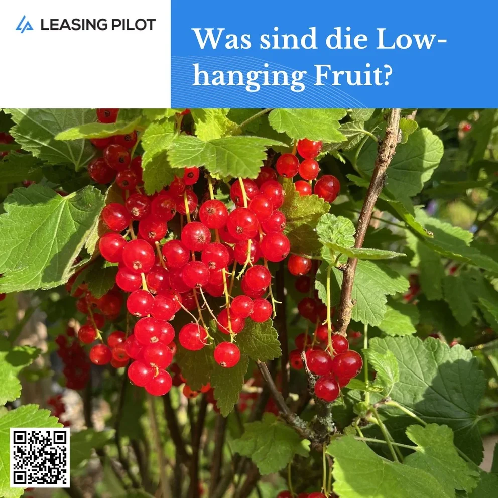 #Value Creation: Was sind die Low Hanging Fruit 